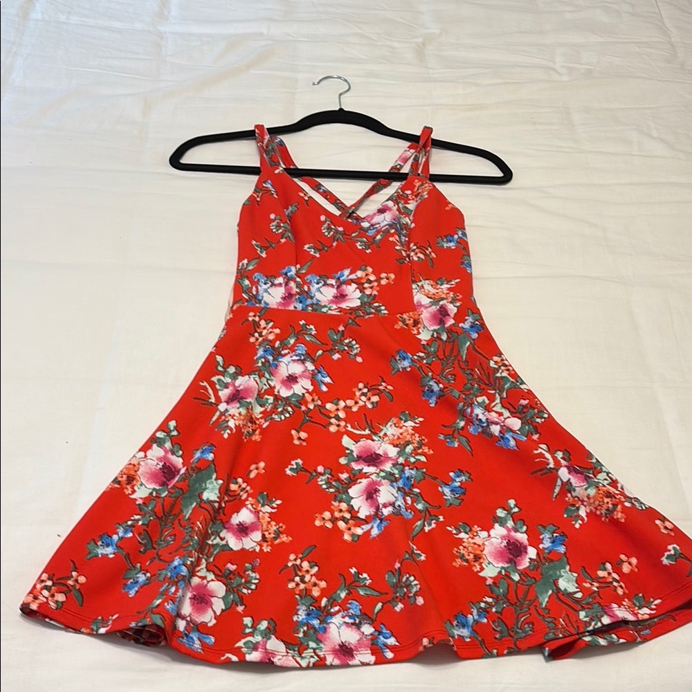 Floral Red Skater Dress